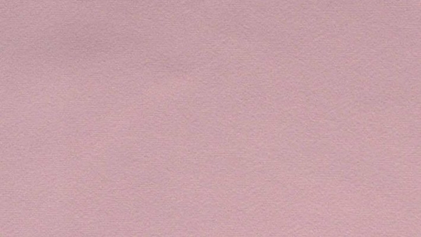 Meisterbetten Boxspringbett Mari 100x200 in VS-Rose, Matratzenbezug Mask, Ergoflex-Topper Bild 2