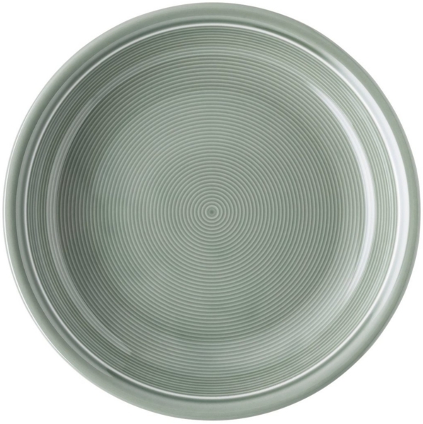 Thomas Trend Colour Suppenteller, tiefer Teller, Porzellan, Moss Green, 22 cm, 11400-401922-10322