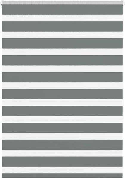 vidaXL Doppelrollo Dunkelgrau 100x150 cm Stoffbreite 95,9 cm Polyester 4014131