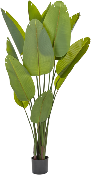 Kunstpflanze BANANA TREE 187 cm Grün
