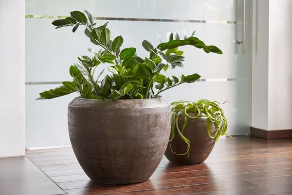 Flingora Pflanzkübel Jonte, mit Einsatz - Fiberglas - Indoor - Kupferbraun - Ø 40 cm