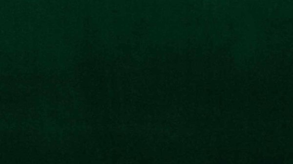 Meisterbetten Boxspringbett Lapi 100x200 in VS-Grasgrün, Matratzenbezug Nano, Ergoflex-Topper Bild 2