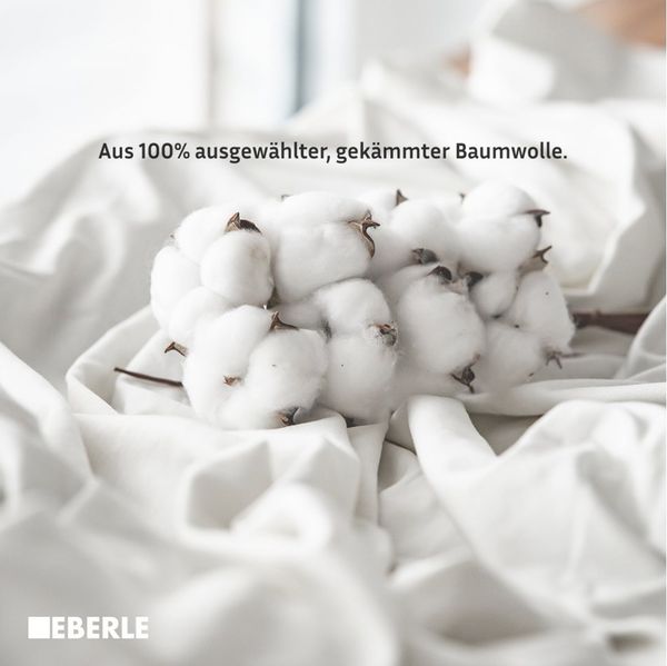 bellana Spannbettlaken Mako-Jersey exclusiv in Gr. 90x200, 140x200 oder 180x200 cm, Mako-Jersey, Gummizug: rundum, (1 Stück), aus Baumwolle, für Matratzen bis 25 cm Höhe, Bettlaken, Spannbetttuch