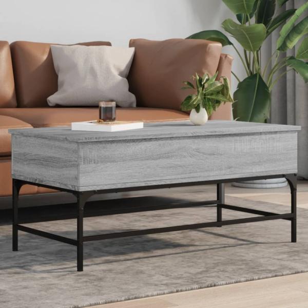 vidaXL Couchtisch Grau Sonoma 100x50x45 cm Holzwerkstoff und Metall 845399