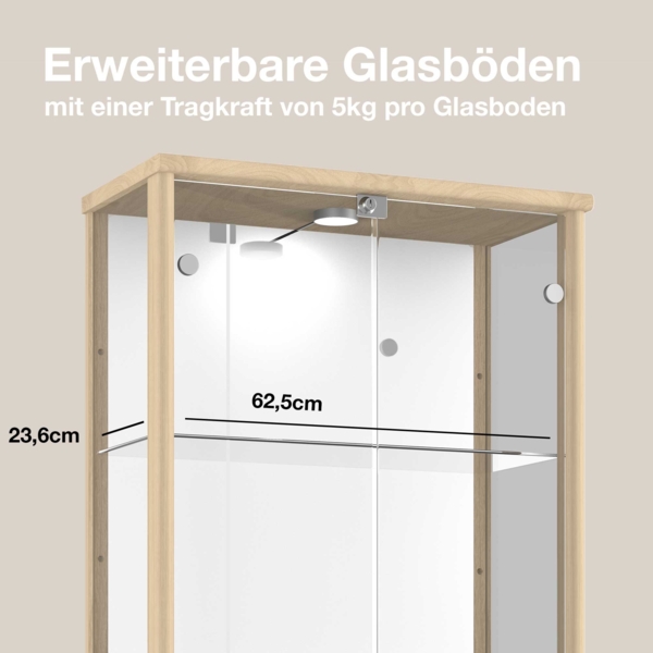K-Möbel Glasvitrine C1084 (Glasvitrine (176x67x33 cm) mit 2 Glastüren) Glasvitrine stehend Bild 5