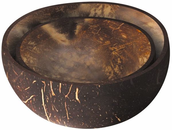 Nuts Müslischüssel Kokosnuss Bowls 2er Set, (2-tlg), aus echten Kokosnüssen, jedes Stück ein Unikat