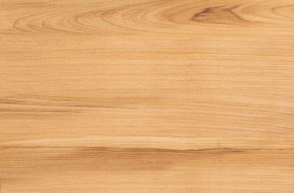 Noah Tisch braun Bild 2