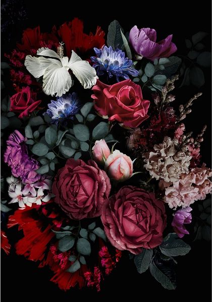 Dekoria Leinwandbild Flowers II
