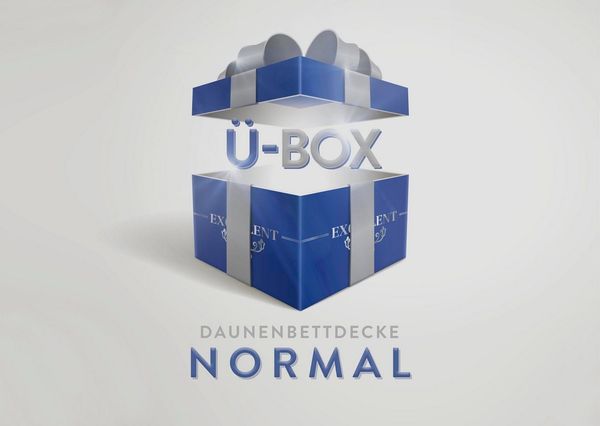 Excellent Daunenbettdecke Überraschungsbox, Füllung: 90% Daunen, 10% Federn, Bezug: Baumwolle, absoluter Sonderpreis, wegen Lagerräumung, Solange der Vorrat reicht