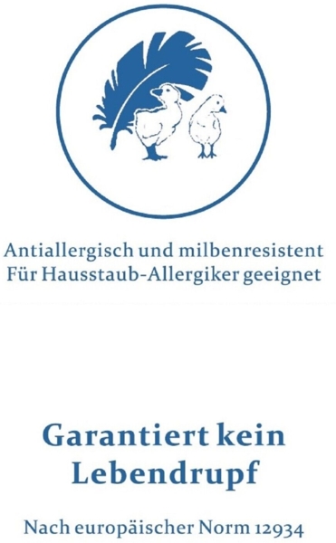 Luxus Winter Kassetten Daunenbett Daunendecke 155x200 cm 100% neue Daunen Bild 8