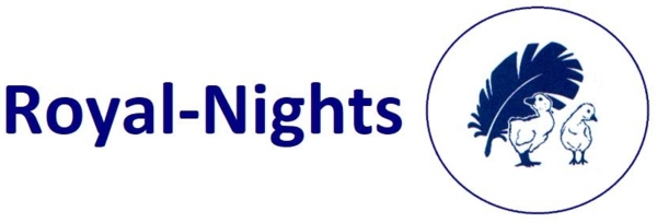 Luxus Winter Kassetten Daunenbett Daunendecke 155x200 cm 100% neue Daunen Bild 5