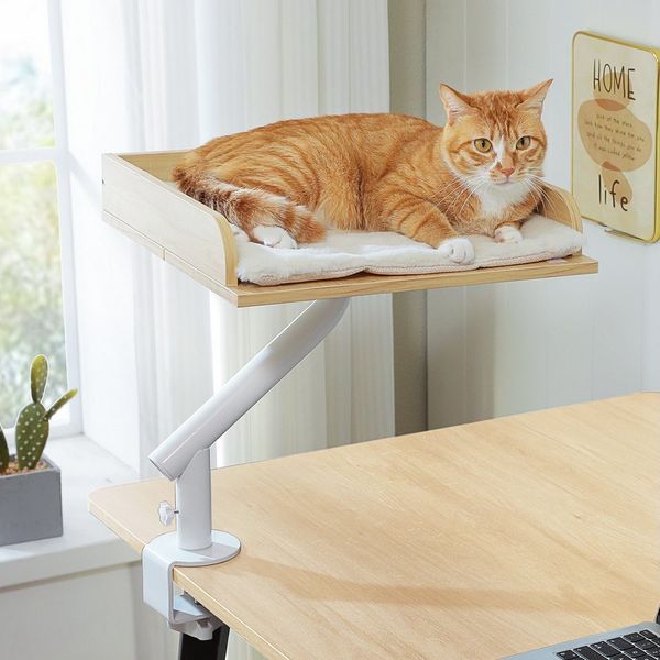 PETEPELA Kratzbaum Katzenbett für Schreibtisch mit interaktivem Plüschball, Katzenkorb, 360° drehbar Katzenbettständer, Katzen Hängematte