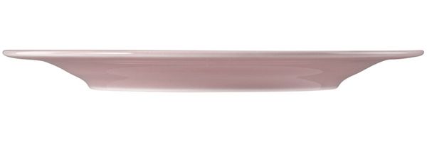 Seltmann Weiden Beat Color Glaze Speiseteller ø 27,7 cm Altrosa - DS Bild 3