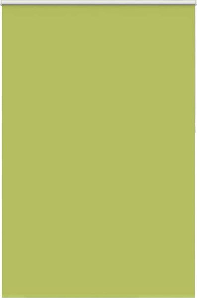 vidaXL Verdunkelungsrollo Grün 160x230cm Stoffbreite 156,6cm Polyester 4011348