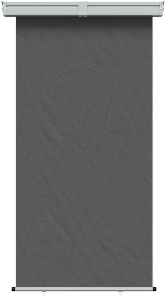 vidaXL Balkon Seitenmarkise 170 x 250 cm 100% Polyester Eisen Stahl 42035283