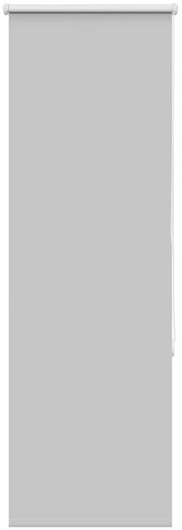 vidaXL Verdunkelungsrollo Hellgrau 60x130 cm Stoffbreite 55,7 cm 4011354