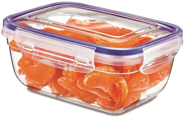 Neuetischkultur Frischhaltedose Frischhaltedose 2300 ml, Kunststoff, (Stück, 1-tlg)