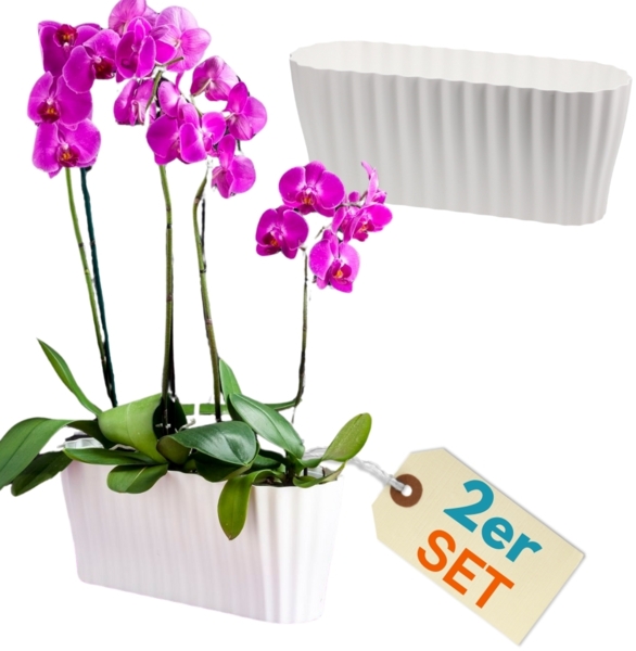 GarPet Blumentopf 2x Orchideentopf Kunstoff Elegant Orchideen Über Pflanz Topf groß weiß