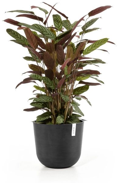 Ecopots Pflanztopf Oslo Ø 35 x 30,5 cm dunkelgrau Bild 3