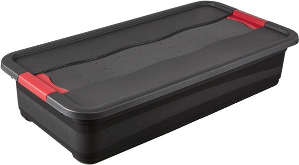 keeeper Transportbehälter eckhart, 2er Set Transporbox, 33 L, 79,5 x 39,5 x 17 cm, (Set, 2-St), seitl. Clips, Griffe am Boden, stoßfeste Seitenwände, robuster Deckel