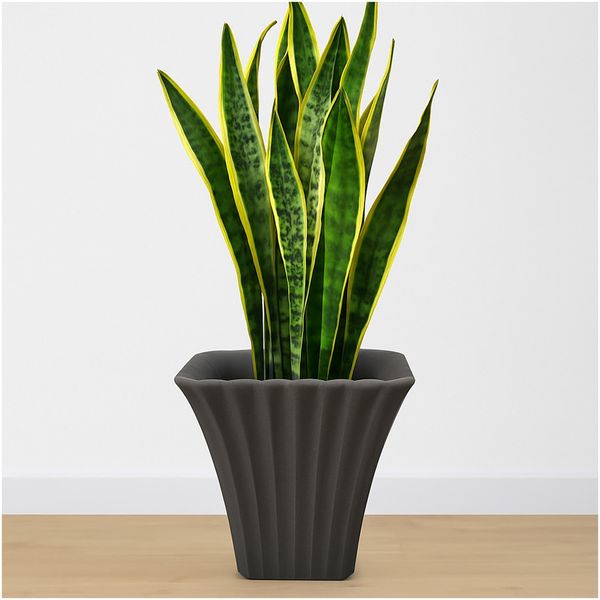 HTI-Living Blumentopf Übertopf
