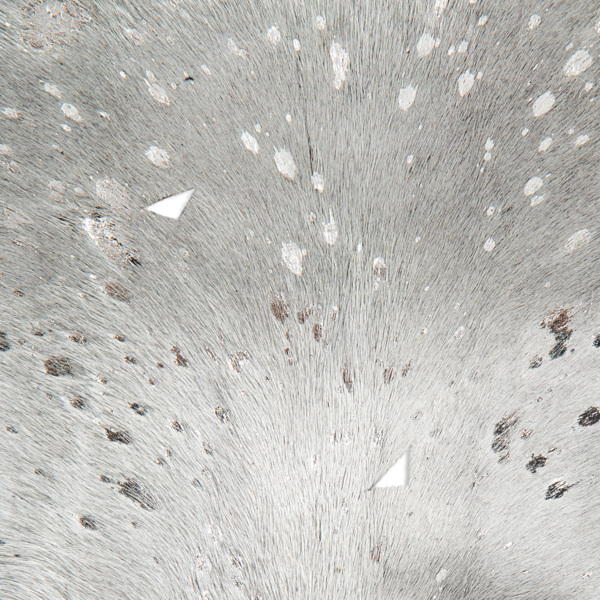 Lederteppich FLY 110 Bild 3