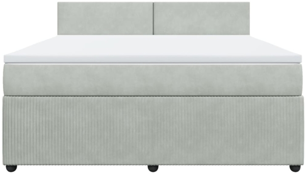 vidaXL Boxspringbett mit Matratze Hellgrau 180x200 cm Samt 3287800 Bild 3