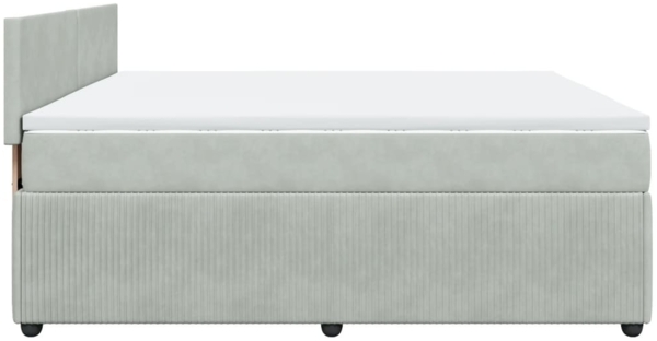 vidaXL Boxspringbett mit Matratze Hellgrau 180x200 cm Samt 3287800 Bild 8