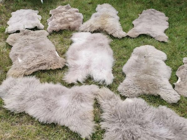 Provellus Fellteppich Öko Schaffell Lammfell Taupe 2. Wahl Bis 140 cm, 30x30cm rund