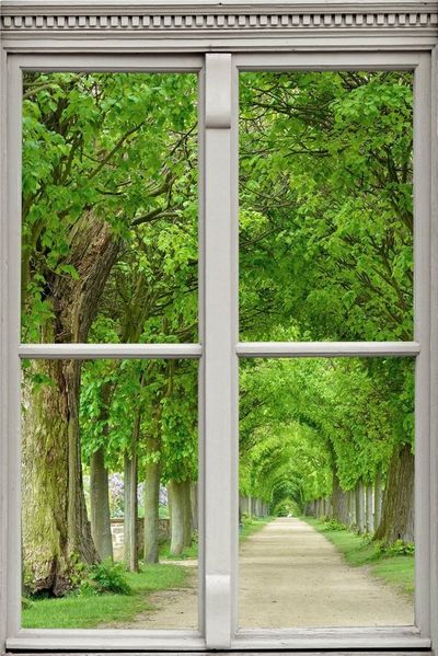 queence Wandsticker Allee, Wandsticker, Wandbild, selbstklebend, 3D, Fenster