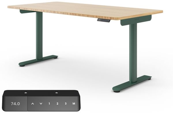 Ergotopia Desktopia One I Elektrisch höhenverstellbarer Schreibtisch I Tischplatte: 180x80 cm, Bambus Echtholz I Gestell Waldgrün I Top Preis-Leistung