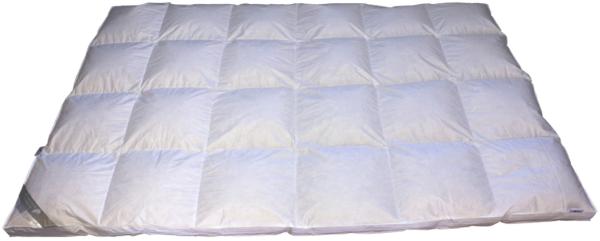 Premium 8cm Hochsteg Winter Daunenbett Bettdecke Außensteg 155x220 cm warm