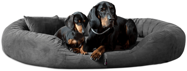 SAMMY SOFT Orthopädisches Hundebett - 03 Schwarz, 140x105cm Bild 2