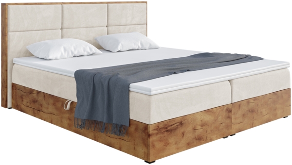 MEBLINI Boxspringbett LOFTY 2 120x220 cm mit Bettkasten - H4/Creme Samt Polsterbett - Doppelbett mit Topper & Taschenfederkern-Matratze Bild 2