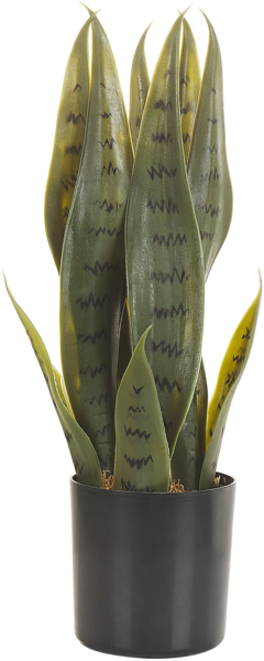 Kunstpflanze SNAKE PLANT 40 cm Grün