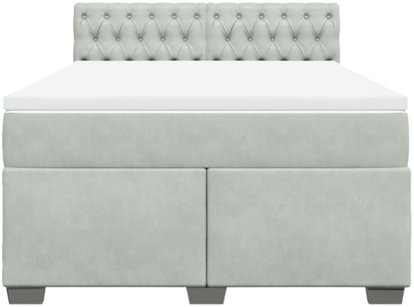 vidaXL Boxspringbett mit Matratze Hellgrau 160x200 cm Samt 3288660 Bild 5