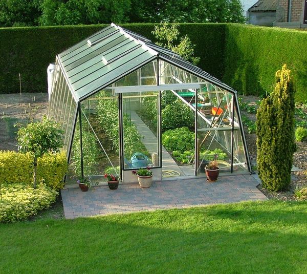 ACD Glas Gewächshaus S204H-B | Silber |