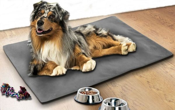 Brilliant Hundematte / Thermo / Hundekissen / kühlend, 100% Polyester, Kühlend