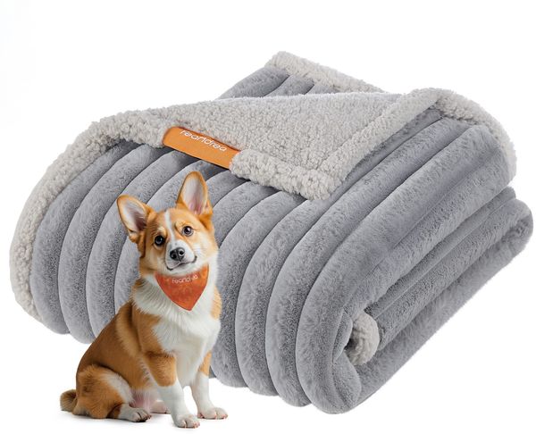 Feandrea Hundedecke, wasserdichte Decke, L, 127 x 102 cm, für kleine, mittelgroße Hunde, beidseitig verwendbar, Hundesofa waschbar, taubengrau-hellgrau PPBDE035G01
