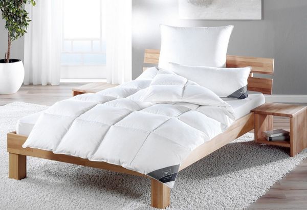 Haeussling Daunenbettdecke + Kopfkissen Kuscheltraum, Set: Bettdecke 135x200 & Kissen 80x80 cm & weiter Größen, Füllung: 60% Daunen & 40% Federn, Bezug: Baumwolle, Hergestellt in Deutschland, Daunen der Klasse 1