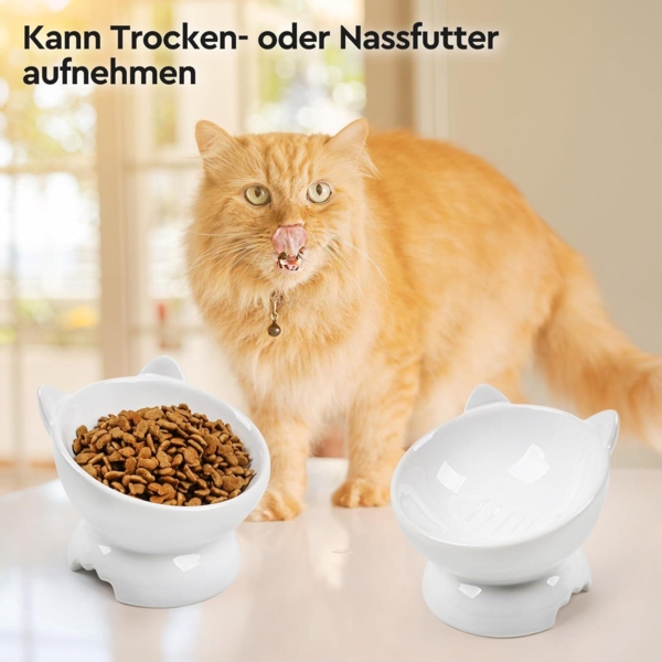 2x Keramik Futternapf Katze erhöhter Zervixschutz Fressnapf Fishbone-Design Bild 7