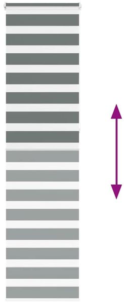 vidaXL Doppelrollo Dunkelgrau 60x230 cm Stoffbreite 55,9 cm Polyester 4014175 Bild 5