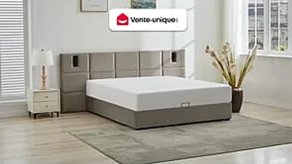 Vente-unique - SARETO Bett SamtStoff Schokoladenbraun - B 208 cm x H 104 cm x L 248 cm