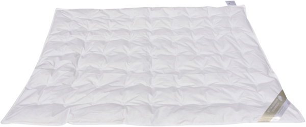 Betten Hofmann Kinder Sommer Daunenbett Daunendecke 100x135 cm 100% Daunen