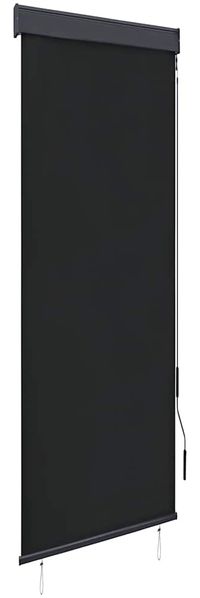 vidaXL Außenrollo 60 x 250 cm Anthrazit 145946