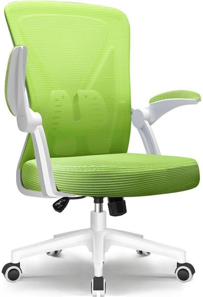 Ergonomischer Bürostuhl mit Lendenwirbelstütze, Testsieger, Grüner Drehstuhl