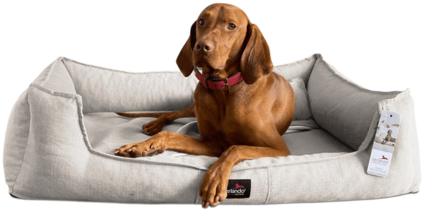 SCARLETT Orthopädisches Hundebett - 05 Creme, 130x100cm