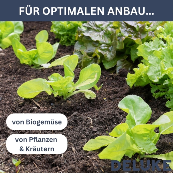 DELUKE® rundes Hochbeet für Garten BLUMO Verzinkter Stahl Hochbeet Metall Gartenbeet rund Kräuterbeet Blumenbeet Frühbeet für Garten Gemüsebeet, 160x80x81cm, Grau Bild 5