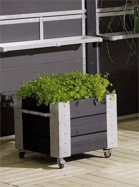Plus Blumenkasten Cubic 47 x 50 x 47 cm schwarz mit Räder