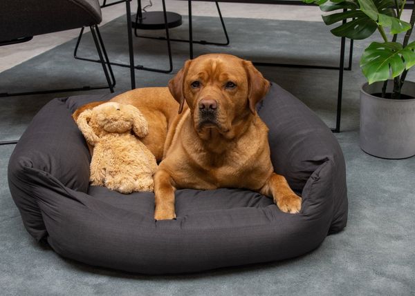 Karlie Liegebett Charly dunkelgrau 80x70x25cm Hundebett Hundekissen Haustierbett